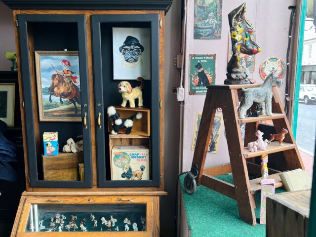 Artists & Wolves Pet Services