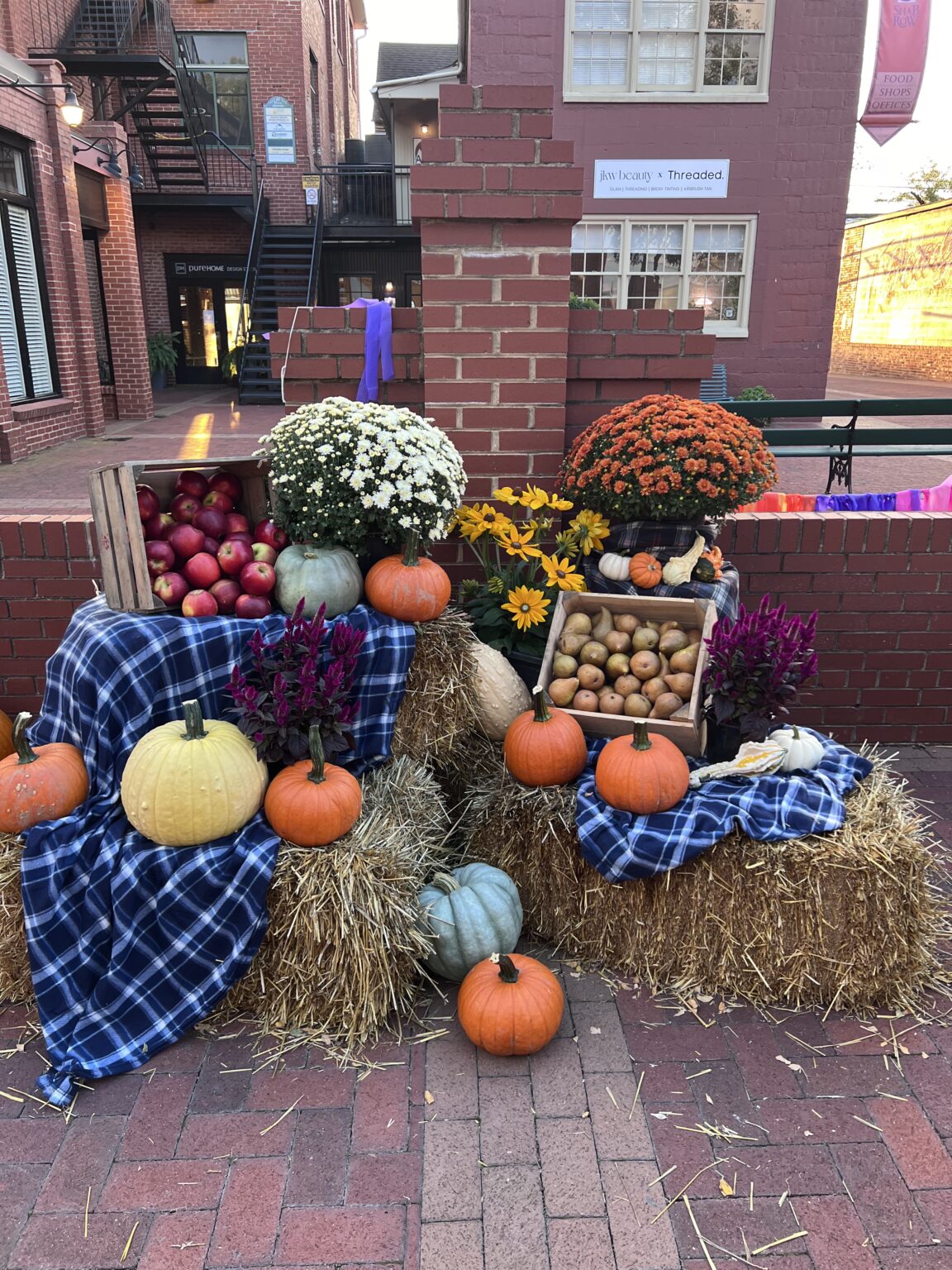 Fall Fest • Downtown Frederick Partnership