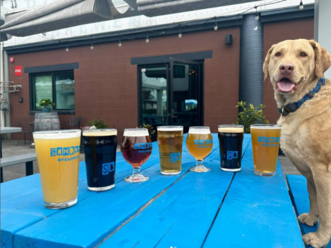 Sandbox Brewhouse